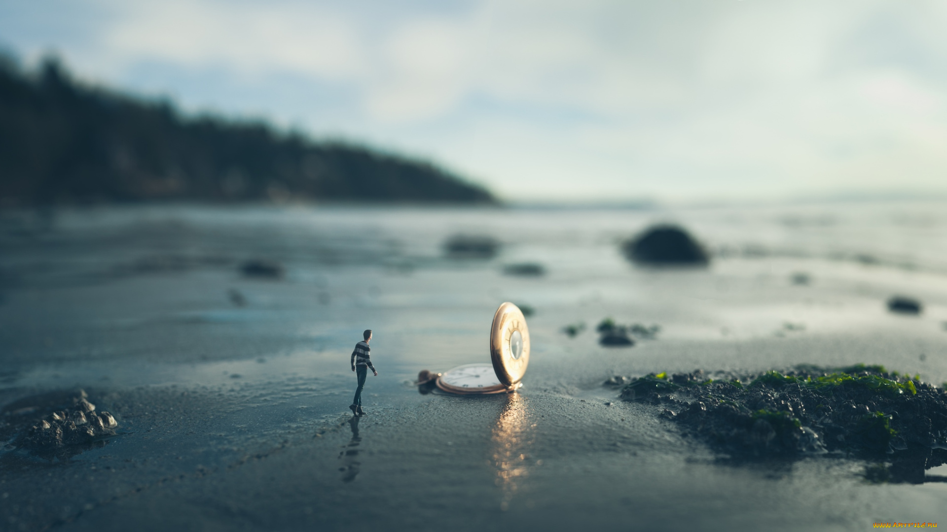 разное, ключи, , замки, , дверные, ручки, парень, часы