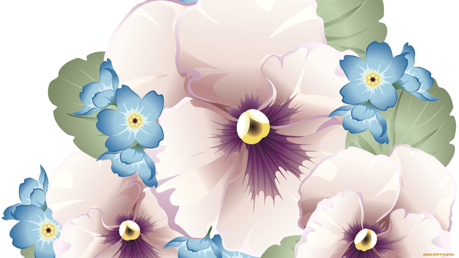 векторная, графика, анютины, глазки, цветы