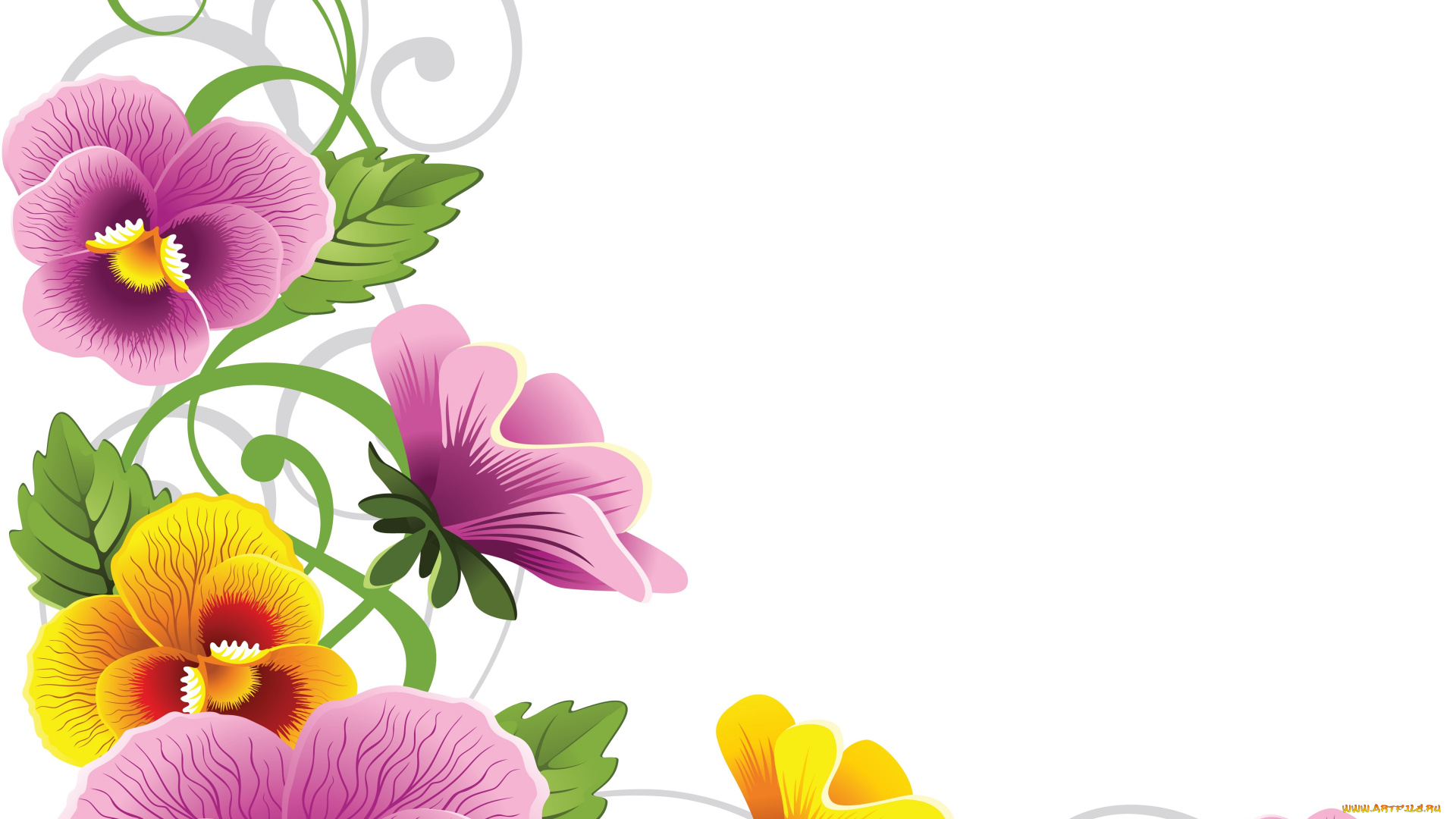 векторная, графика, цветы, анютины, глазки, листья