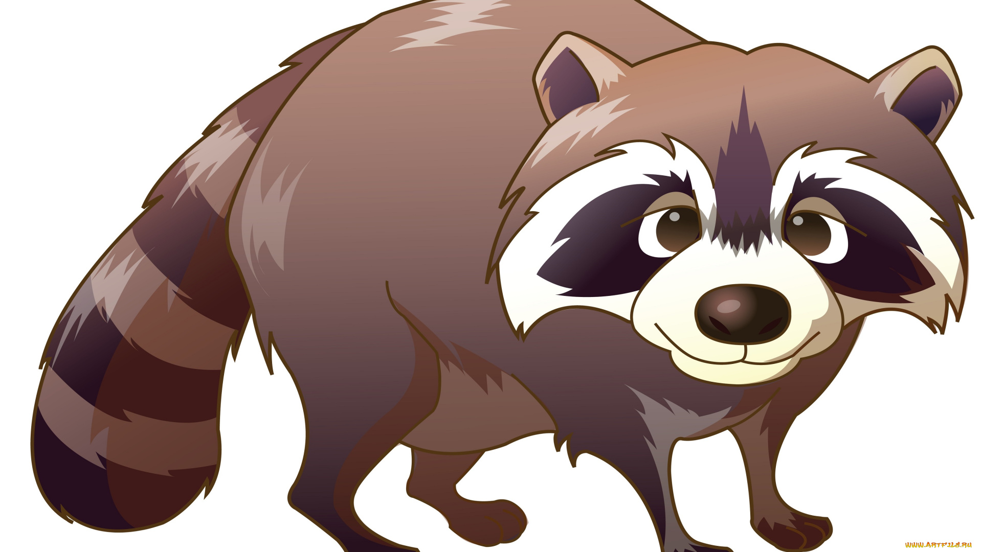 векторная, графика, енот