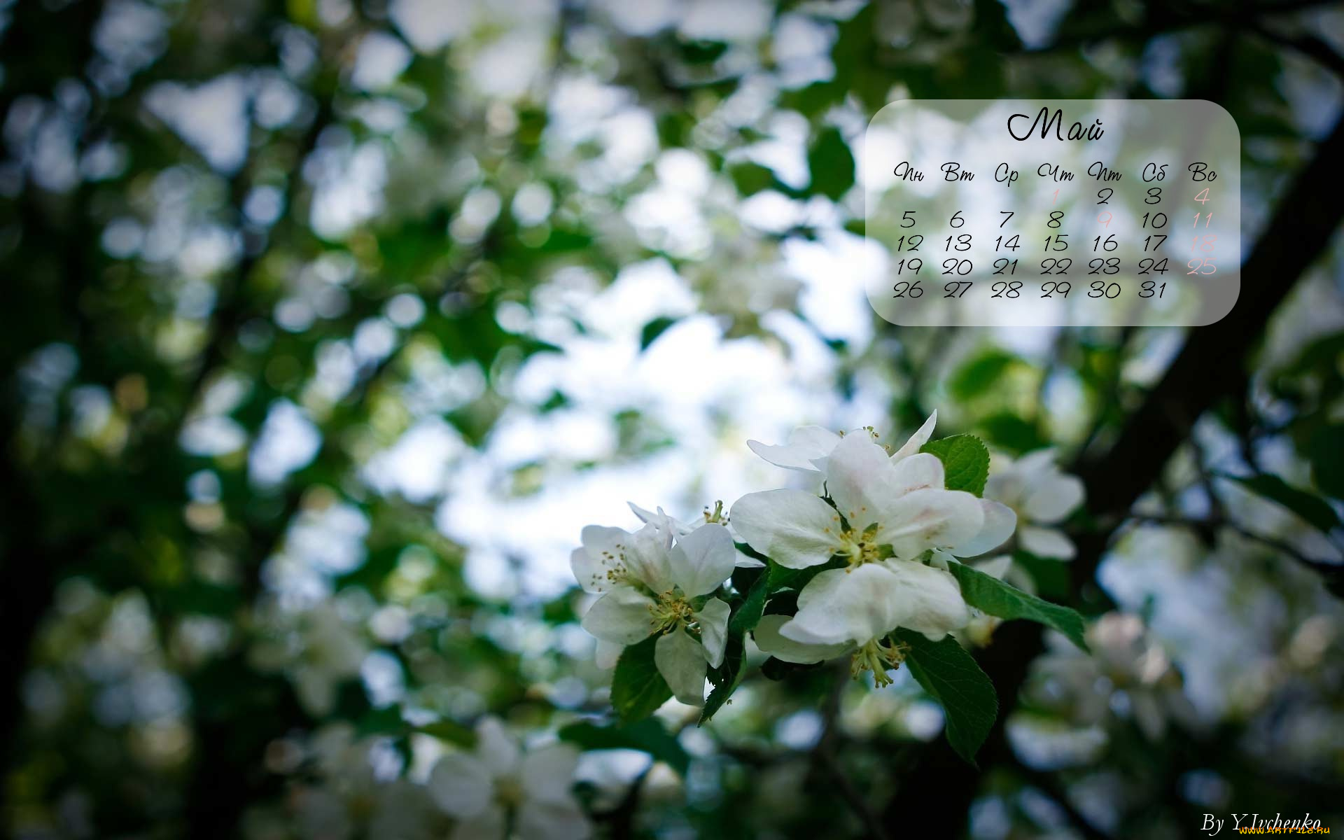 календари, цветы, весна