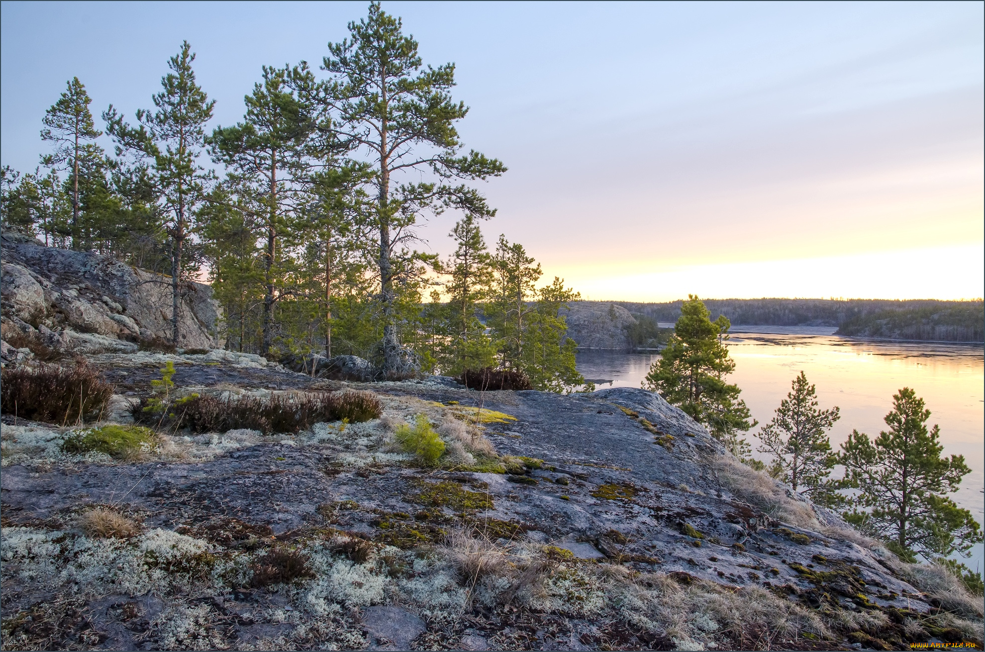 природа, реки, озера, ладога, сосны