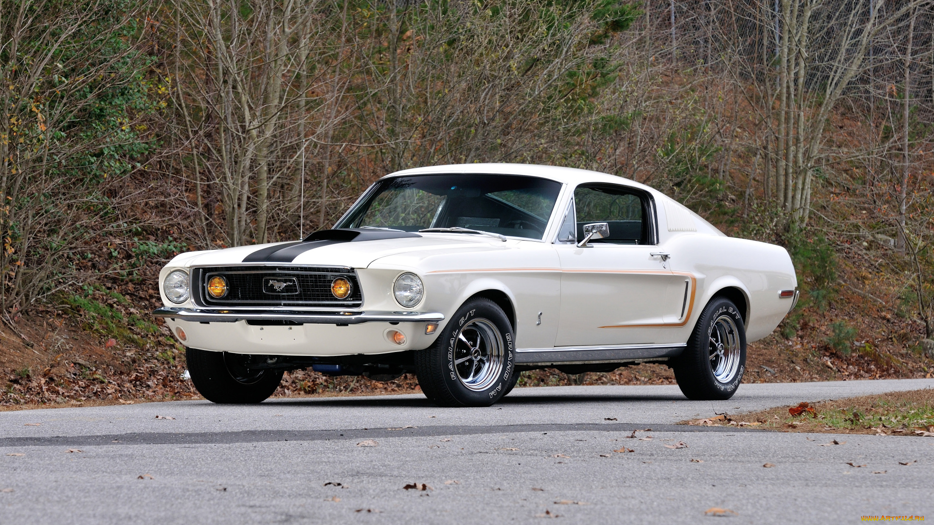 автомобили, mustang