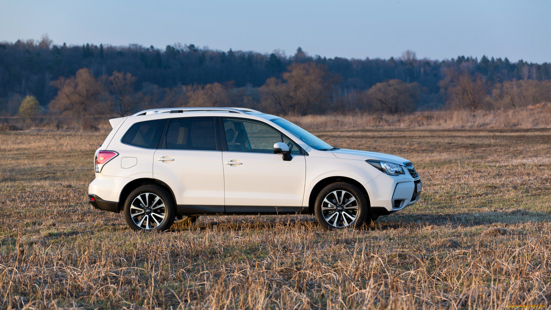 автомобили, subaru, forester, 2-0xt, 2016г