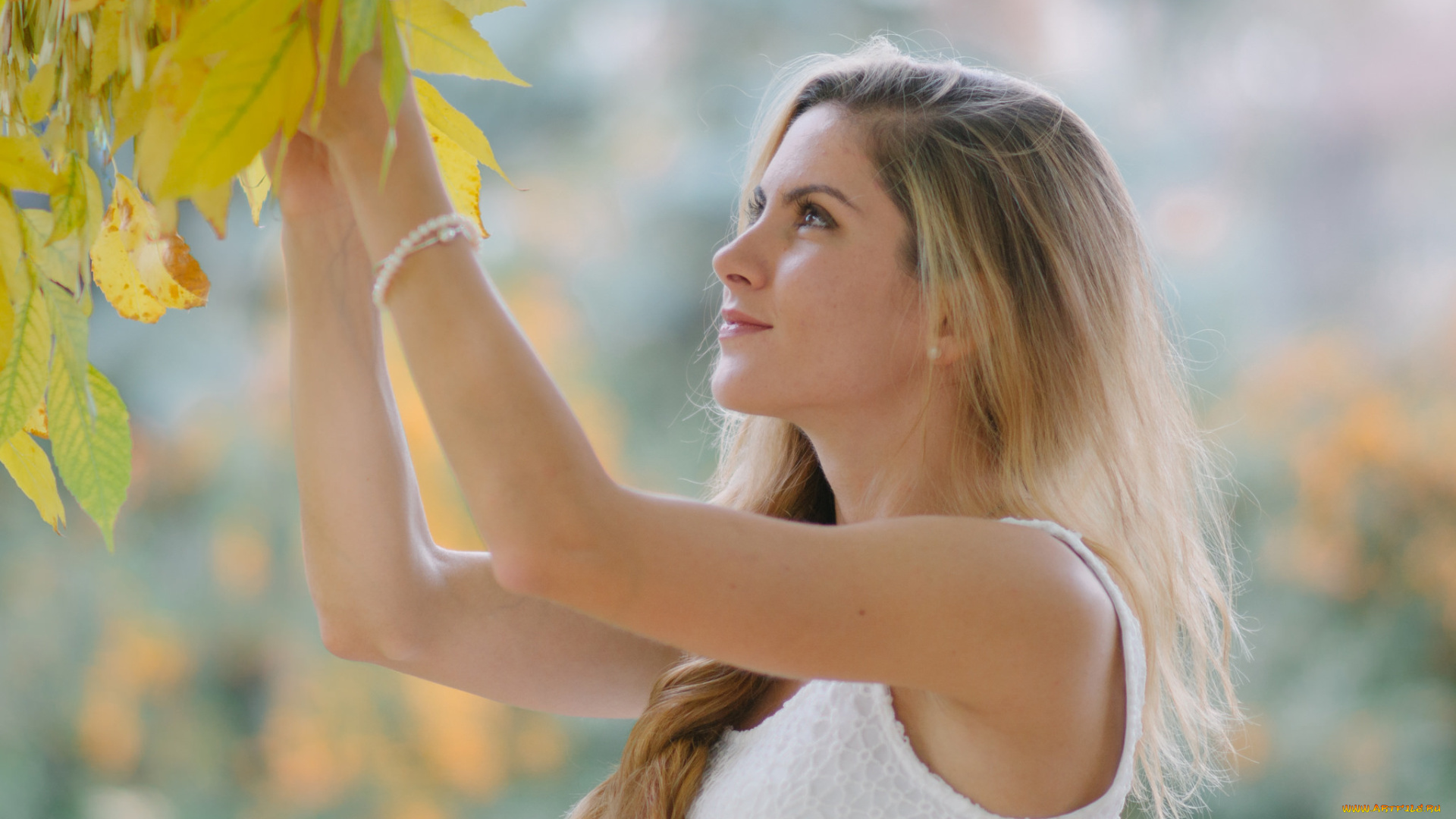 девушки, -unsort, , блондинки, взгляд, лицо