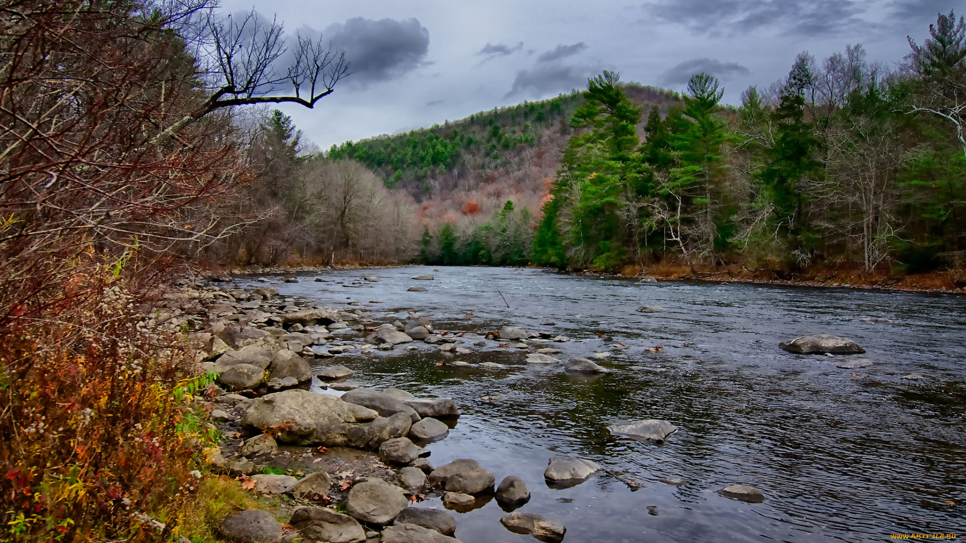 природа, реки, озера, лес, река