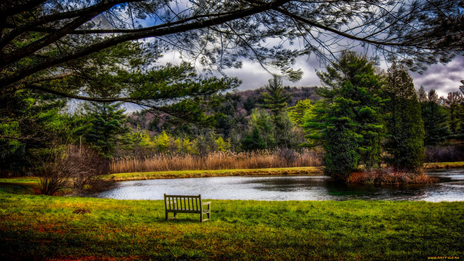 природа, реки, озера, река, лес