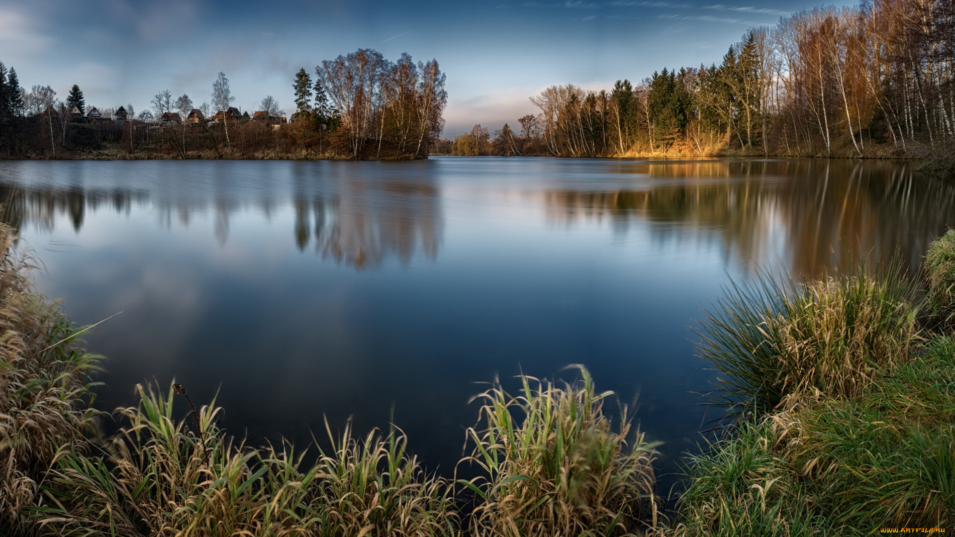 природа, реки, озера, река, лес