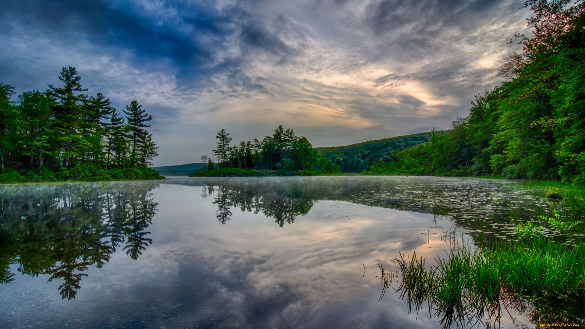 природа, реки, озера, река, лес