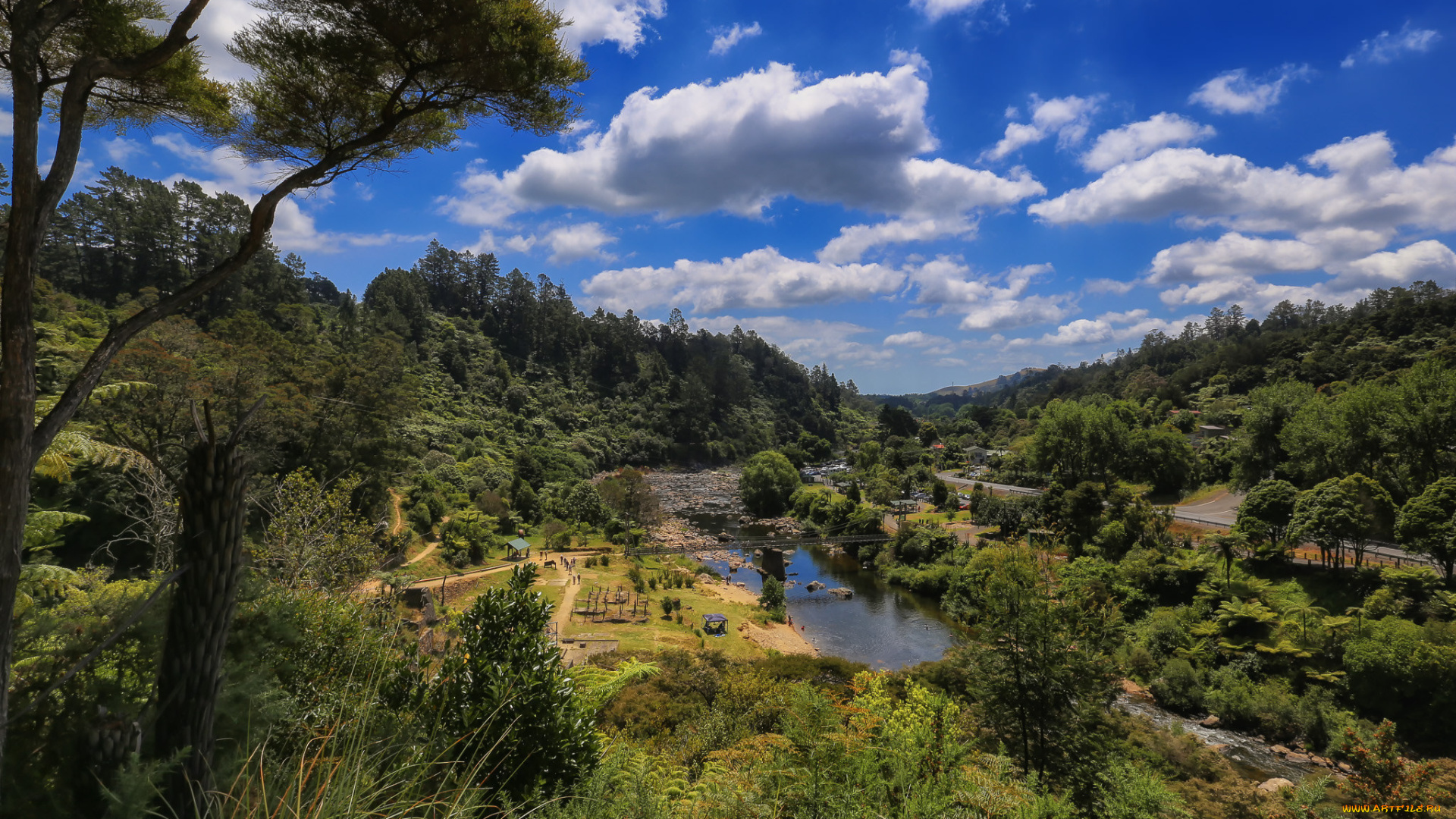 природа, реки, озера, река, лес