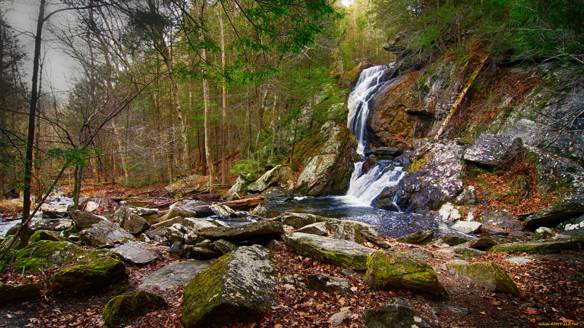 природа, водопады, лес, река