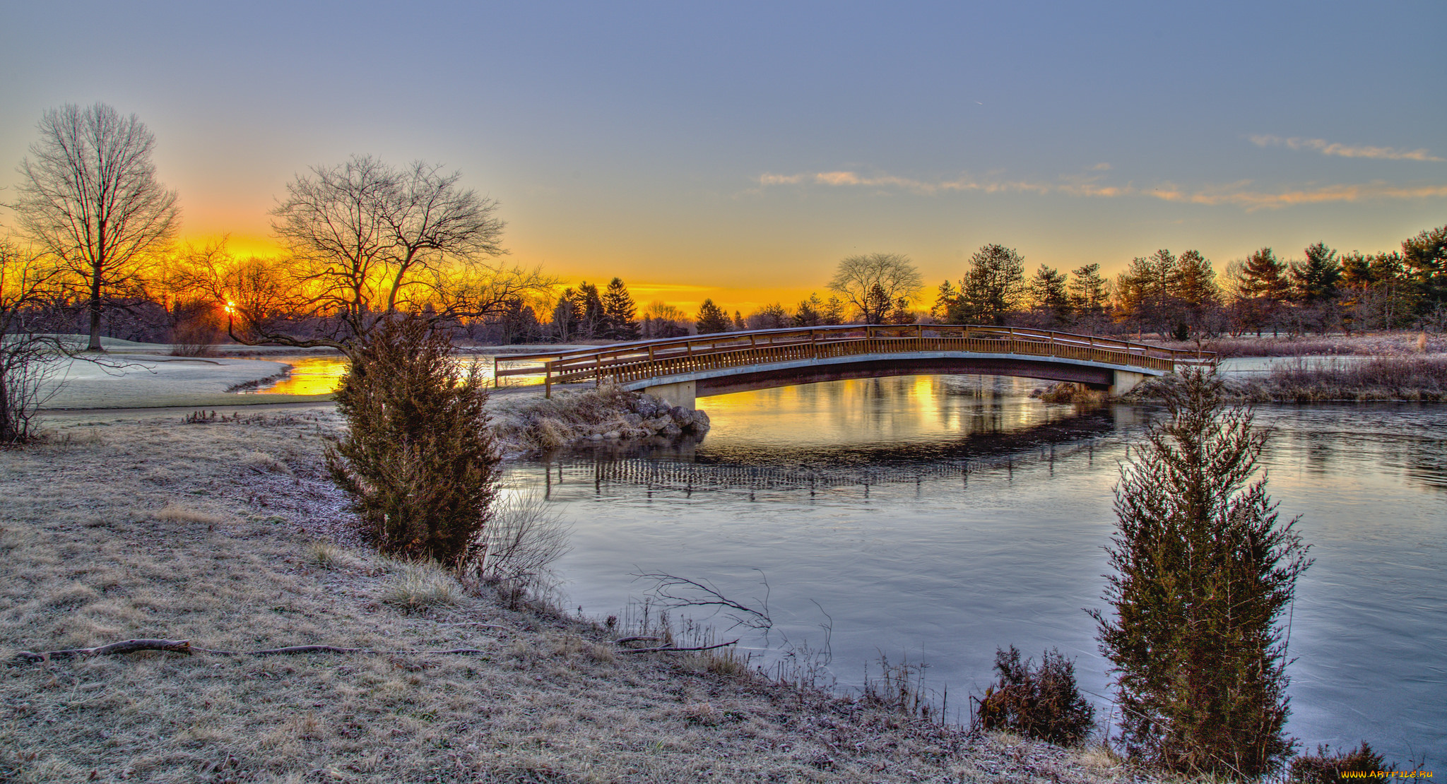 природа, реки, озера, лес, река