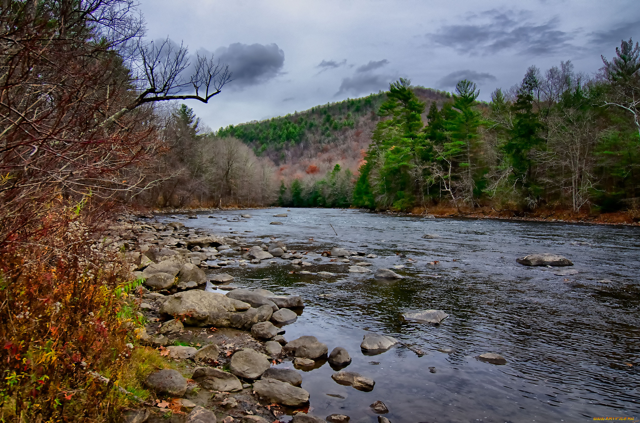 природа, реки, озера, лес, река