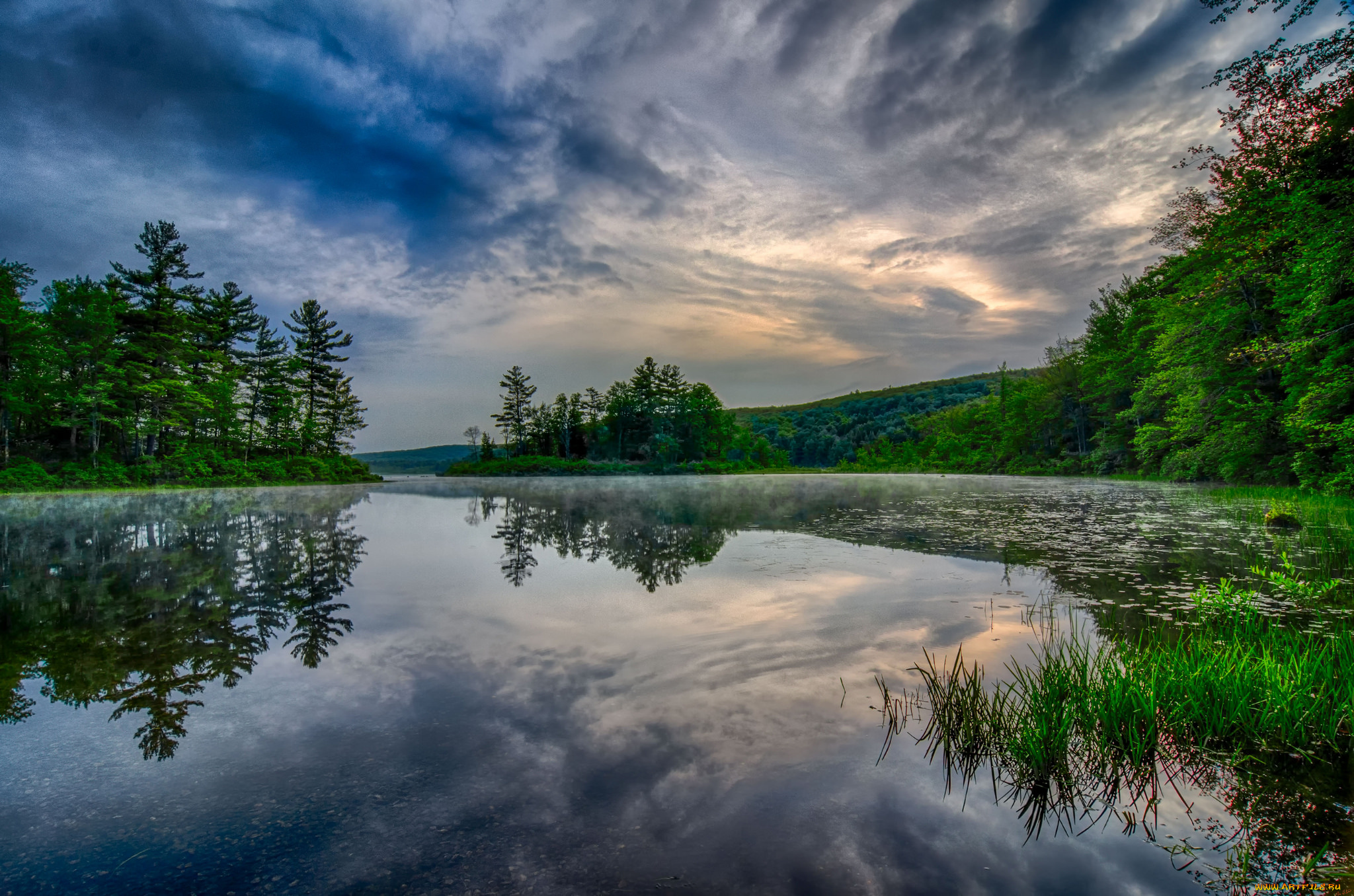 природа, реки, озера, река, лес