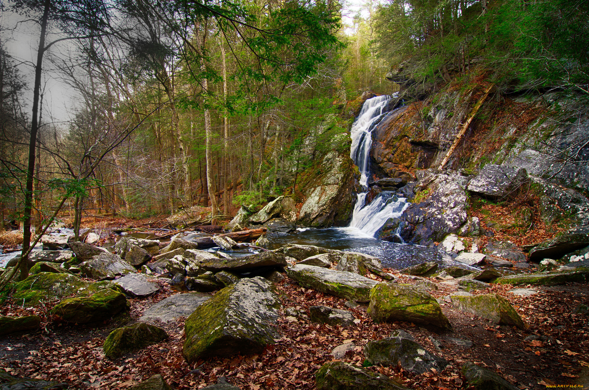 природа, водопады, лес, река