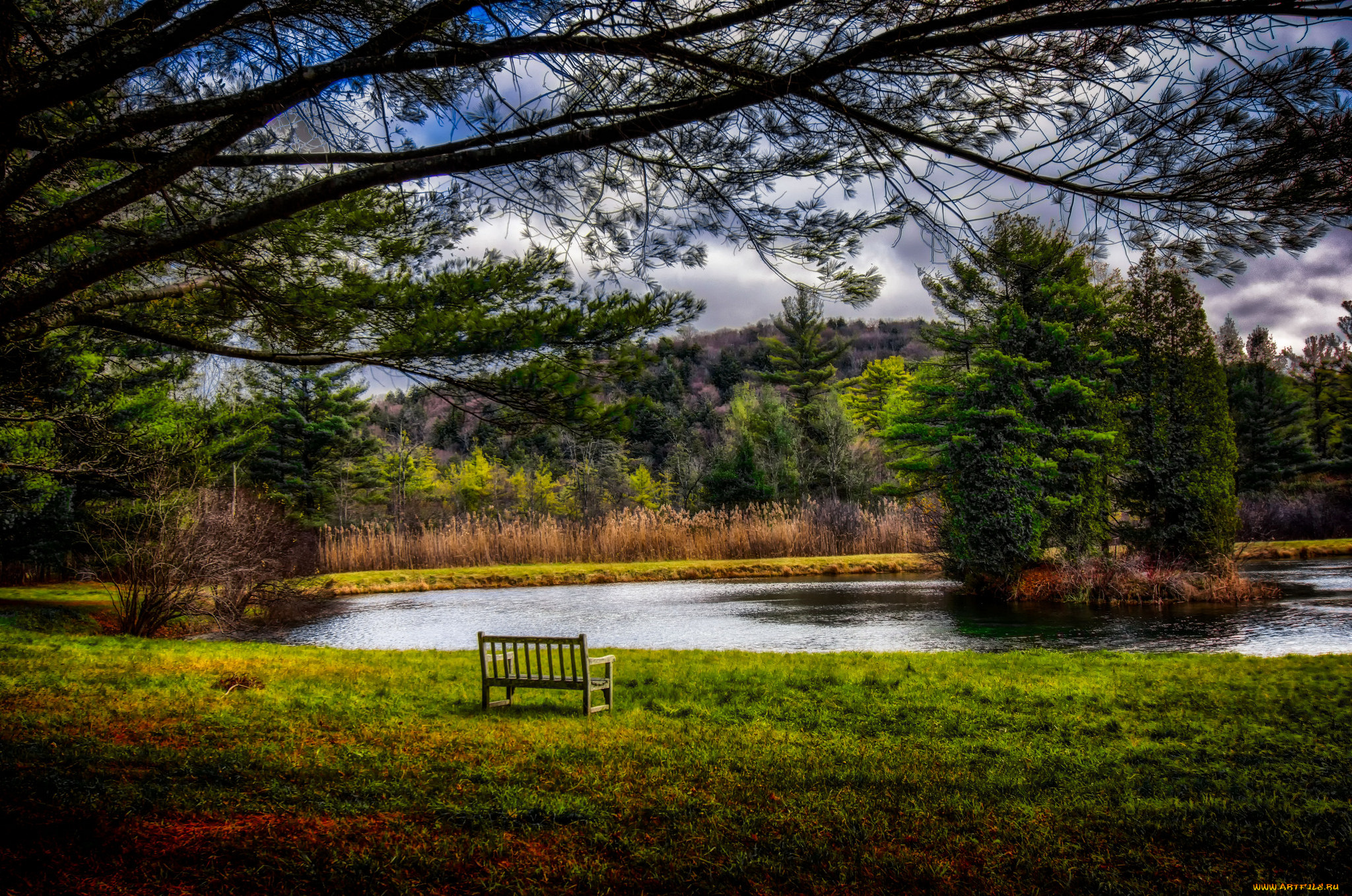 природа, реки, озера, река, лес