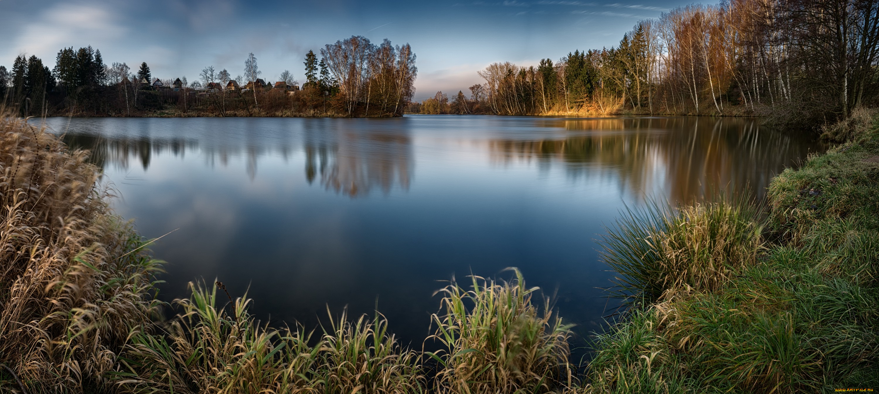 природа, реки, озера, река, лес