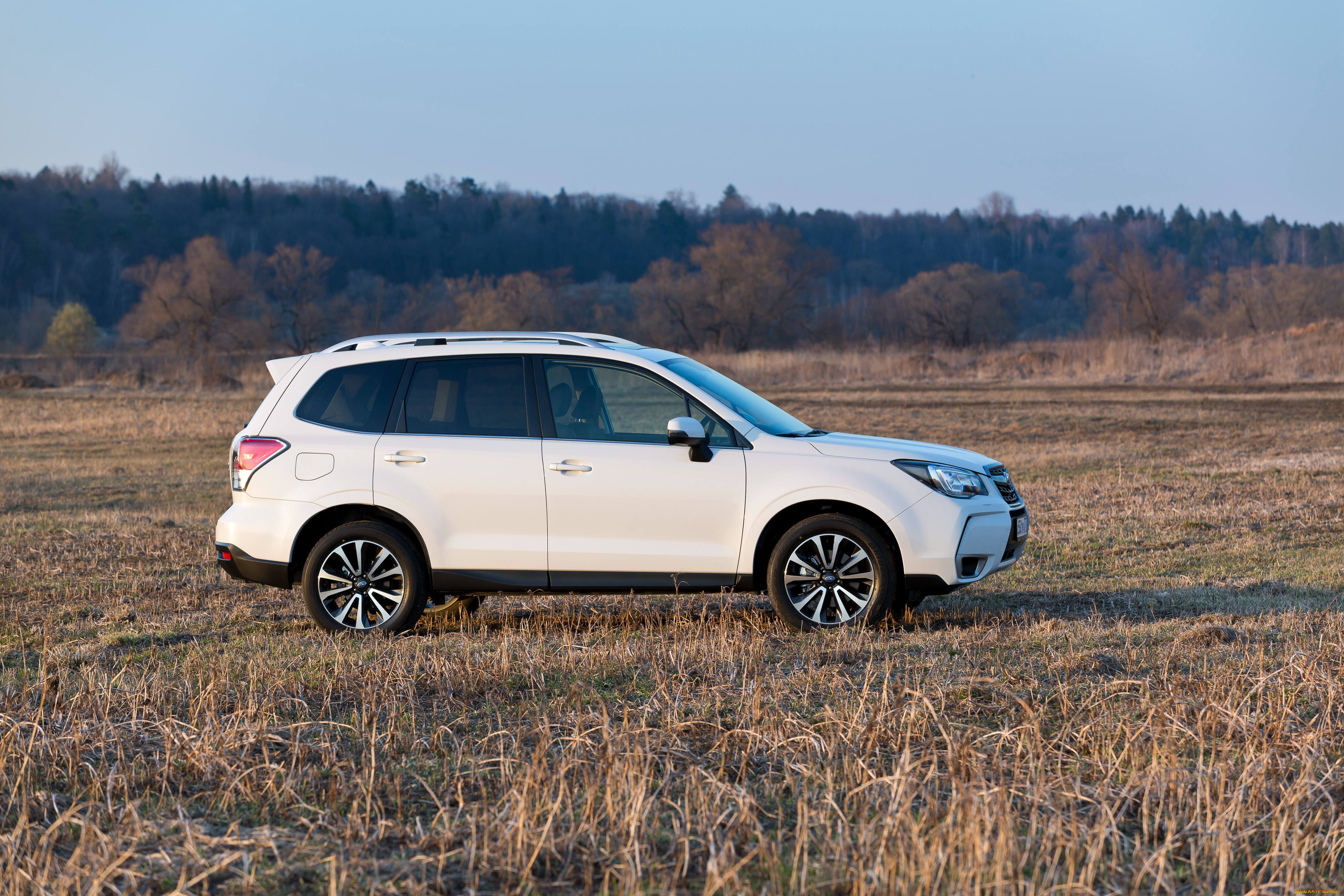 автомобили, subaru, forester, 2-0xt, 2016г