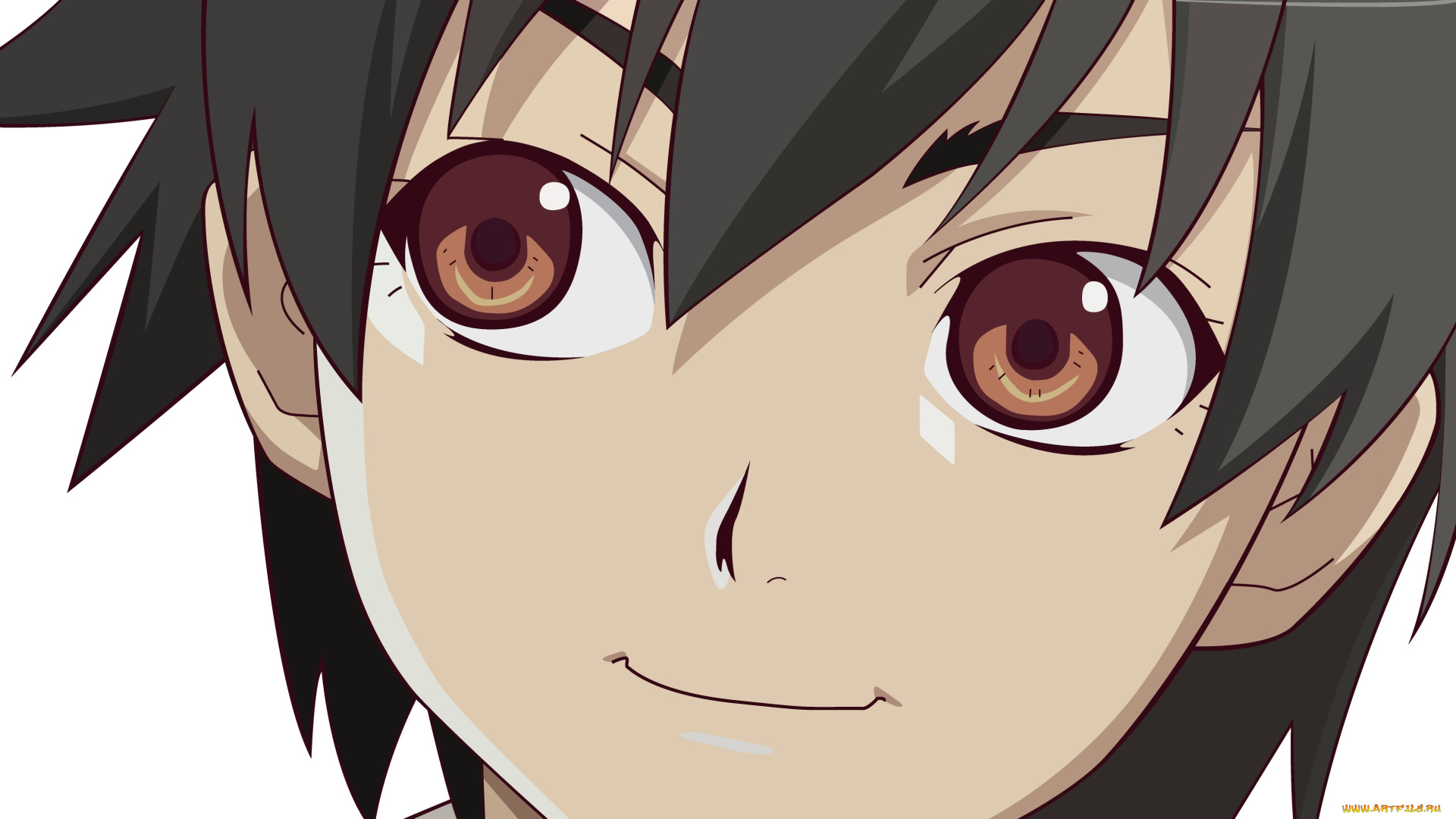 аниме, bakemonogatari, фон, взгляд, девушка