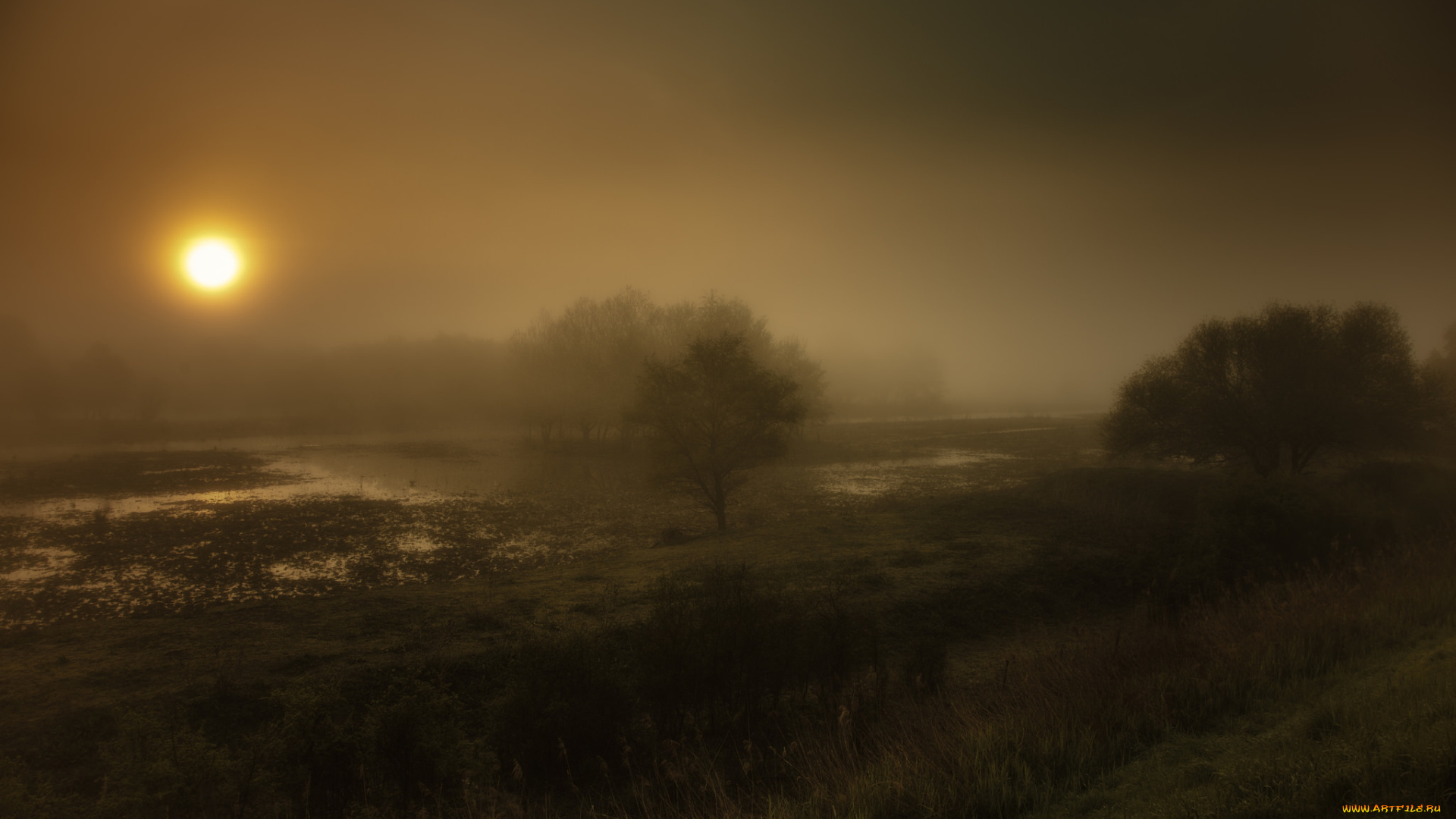 природа, пейзажи, ночь, река, туман