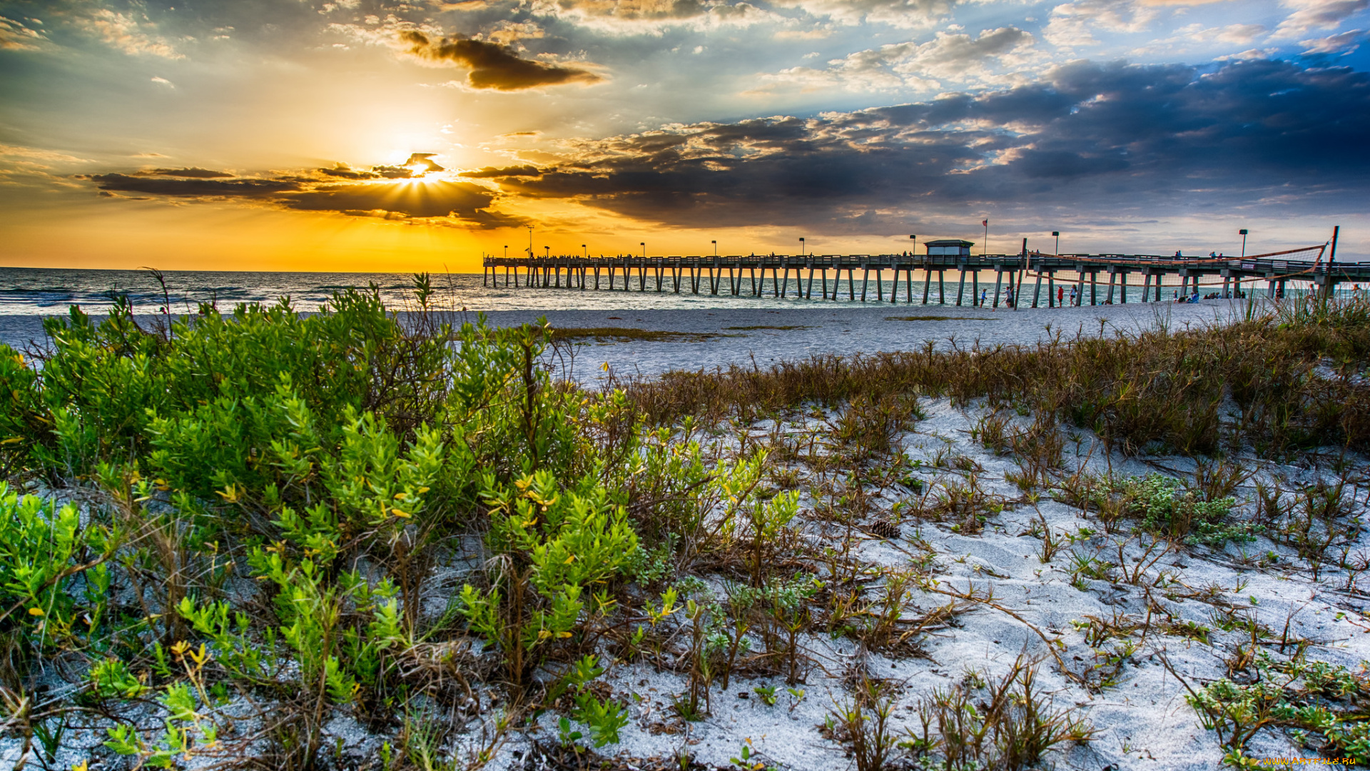 природа, побережье, рассвет