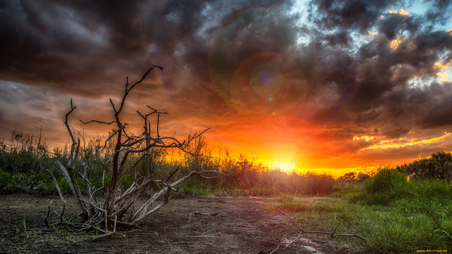 природа, восходы, закаты, рассвет