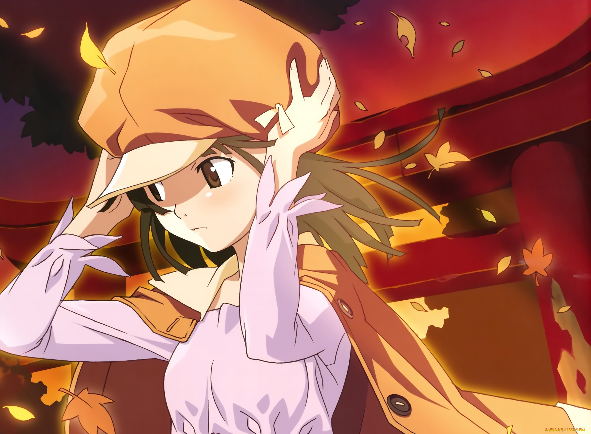 аниме, bakemonogatari, фон, взгляд, девушка