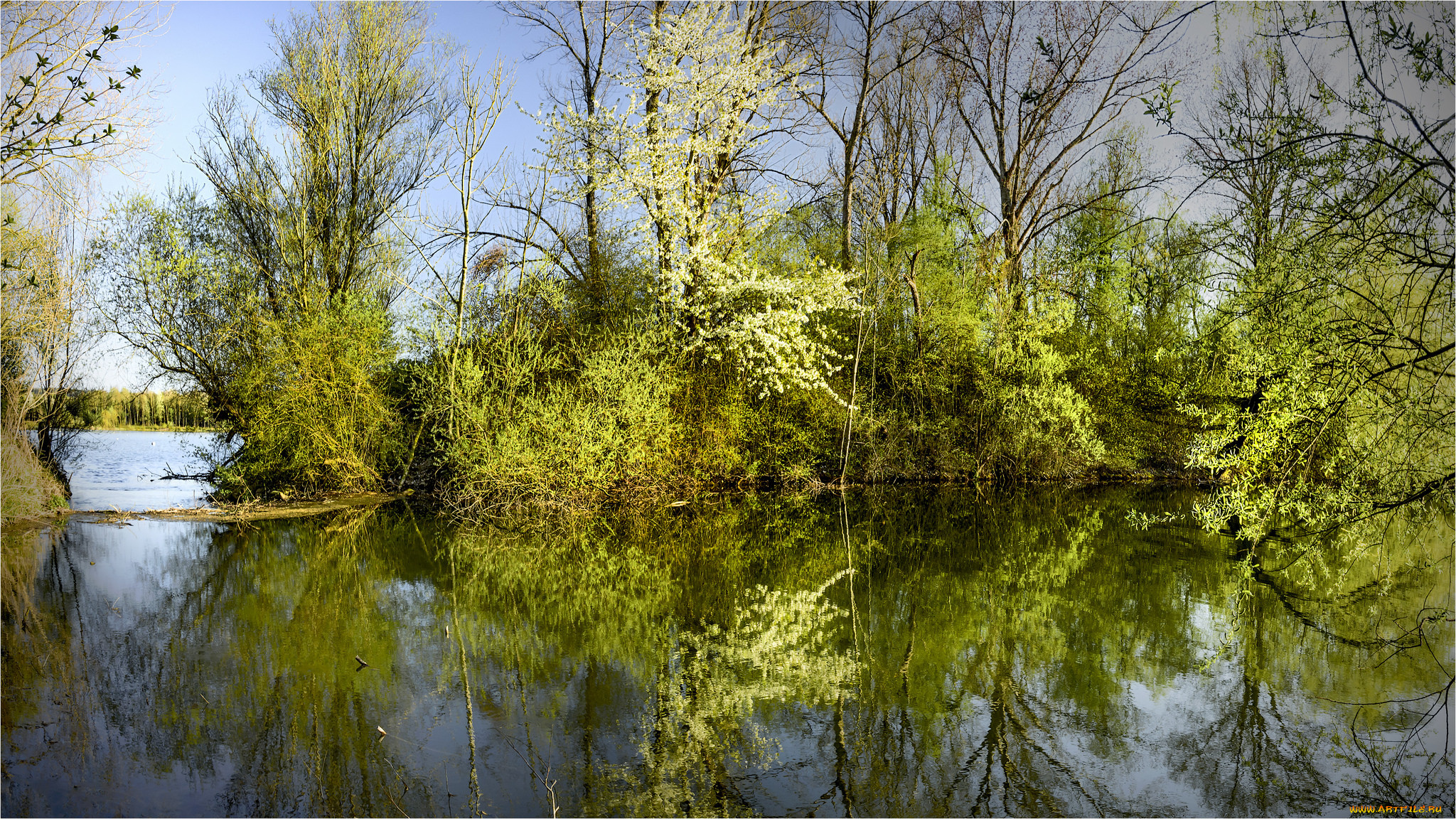 природа, реки, озера, лес, река