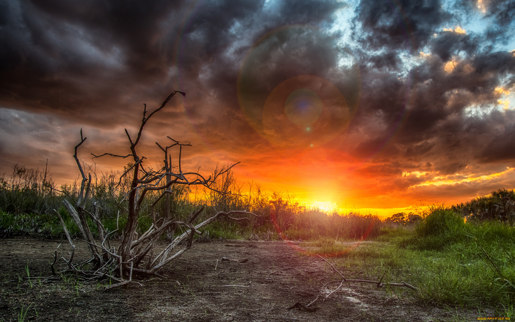 природа, восходы, закаты, рассвет