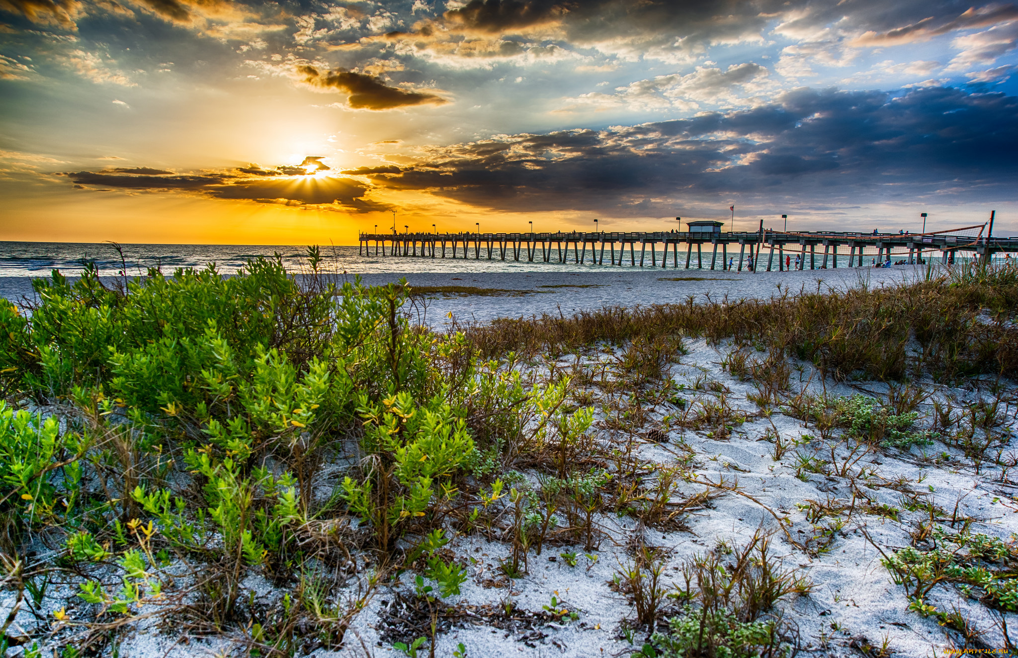 природа, побережье, рассвет