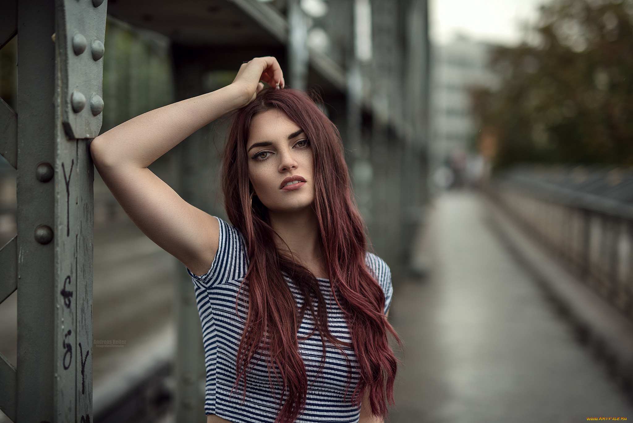 девушки, -unsort, , брюнетки, , шатенки, взгляд, лицо