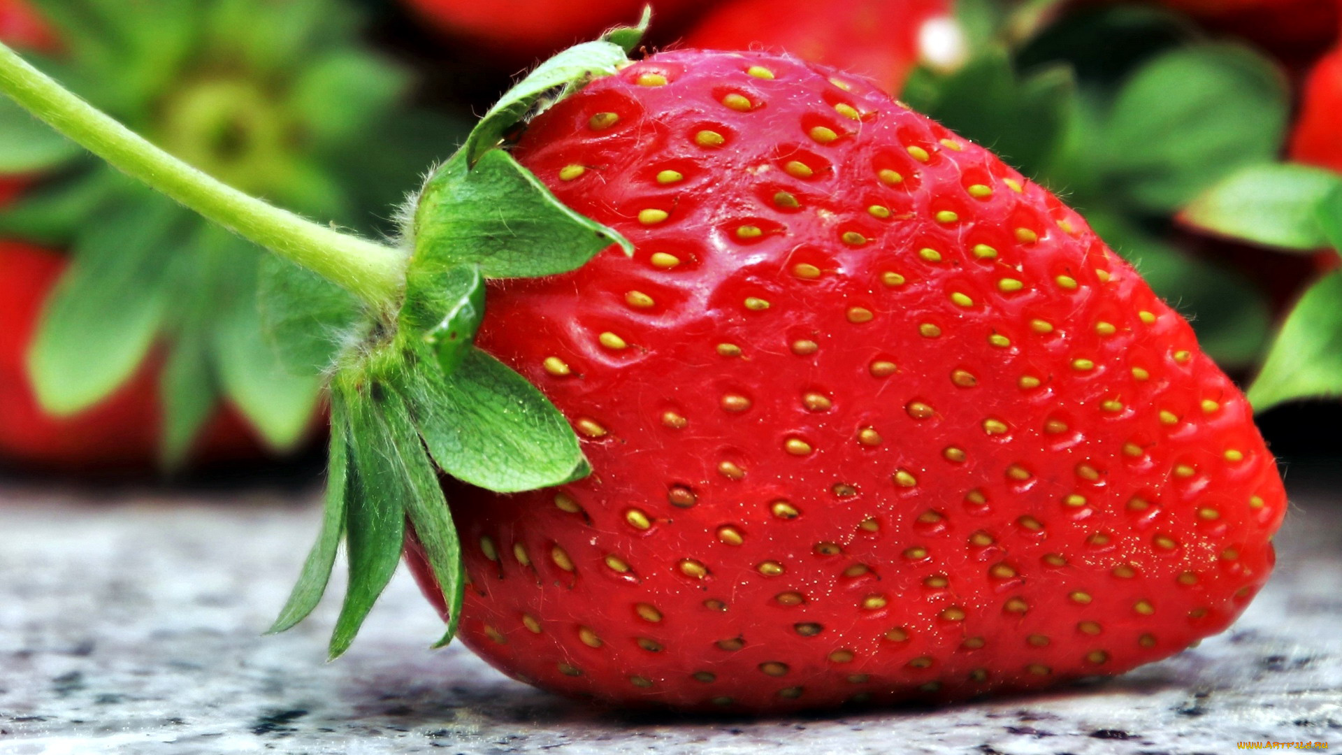 еда, клубника, , земляника, ягода