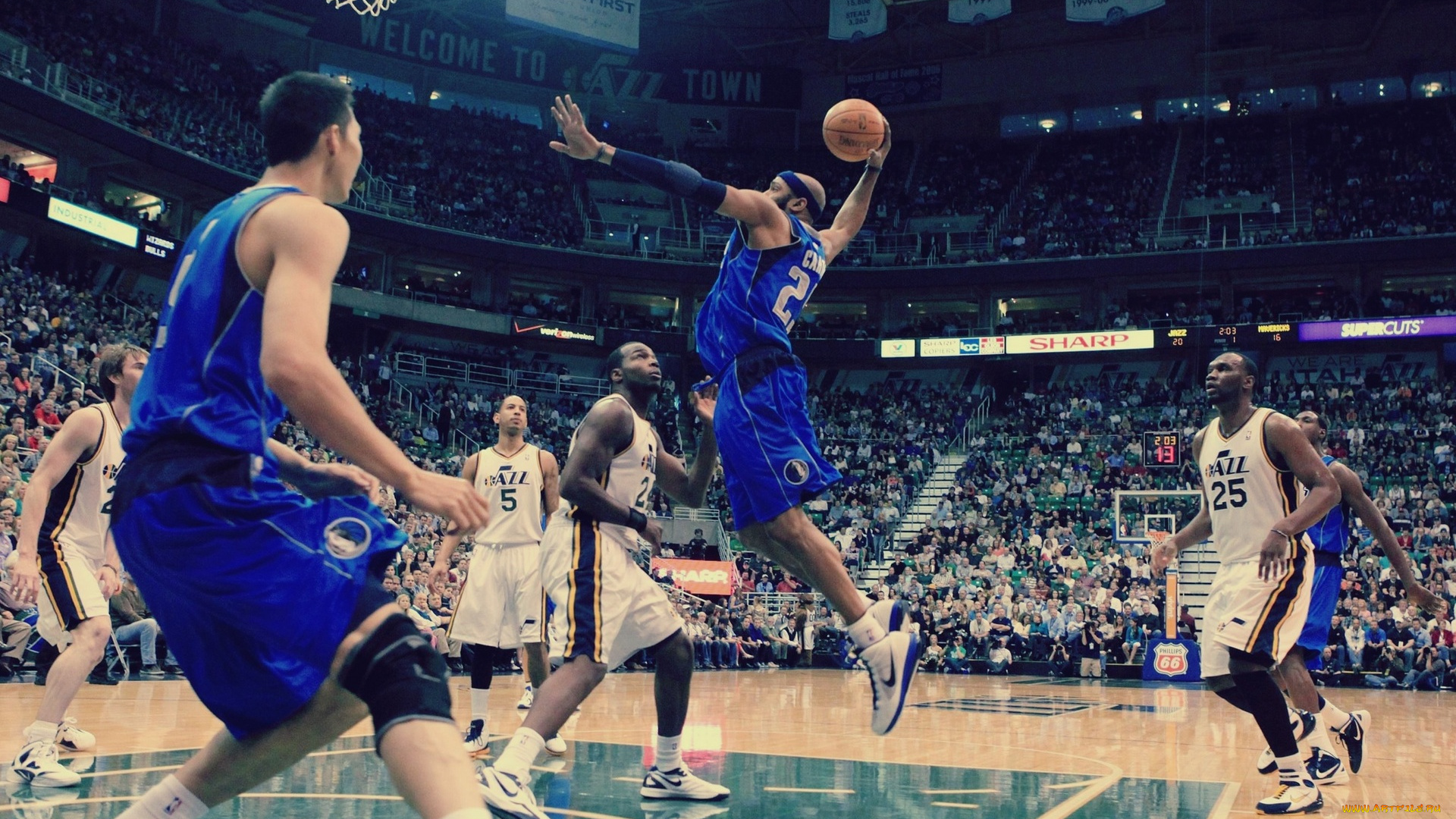 спорт, баскетбол