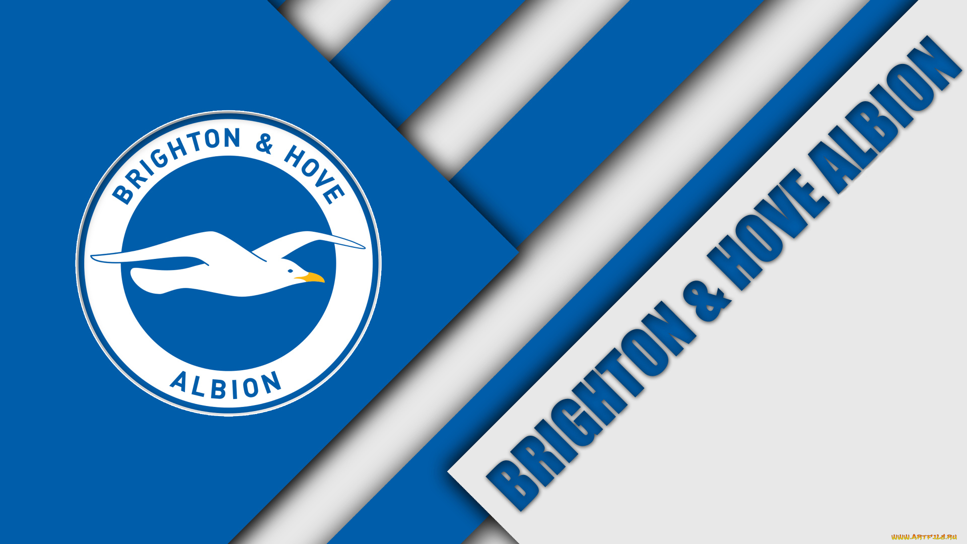 спорт, эмблемы, клубов, линии, фон, логотип, цвета, полосы