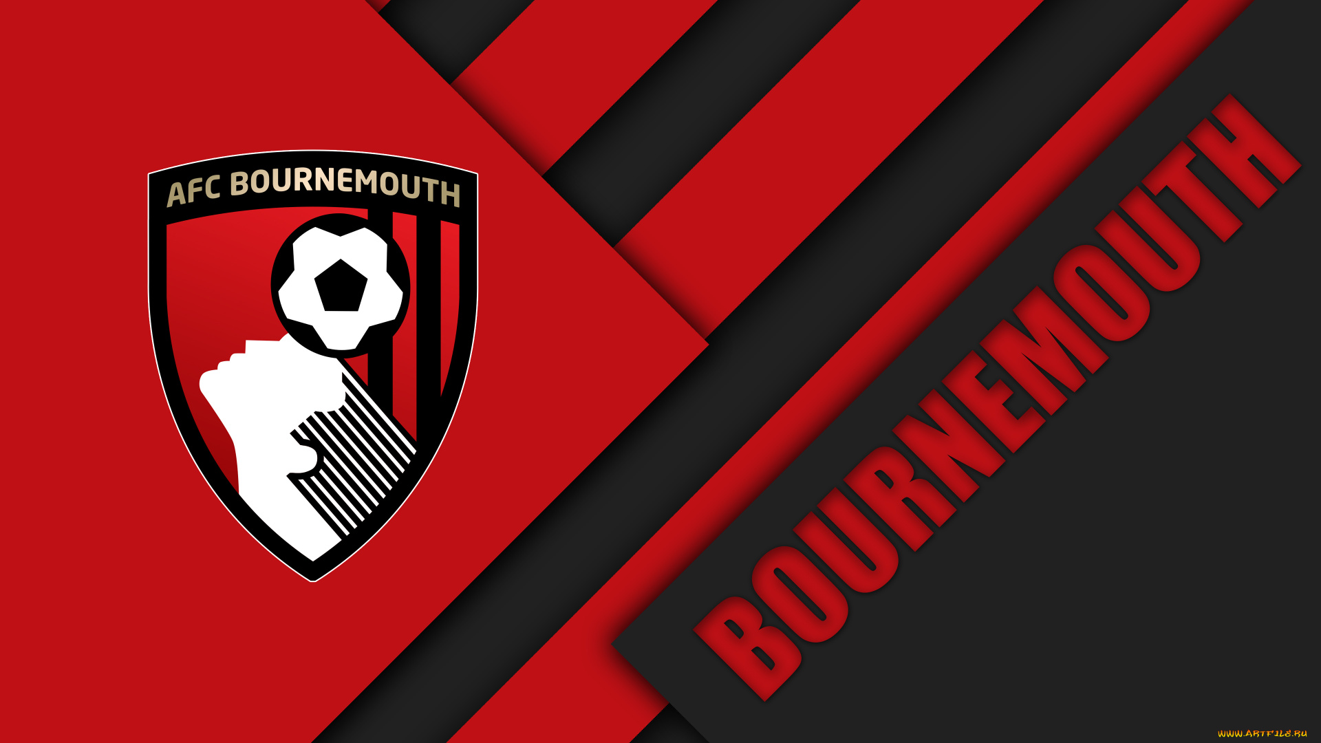 спорт, эмблемы, клубов, полосы, фон, линии, цвета, логотип