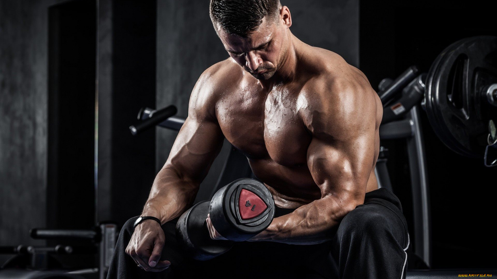 спорт, фитнес, фон, взгляд, мужчина