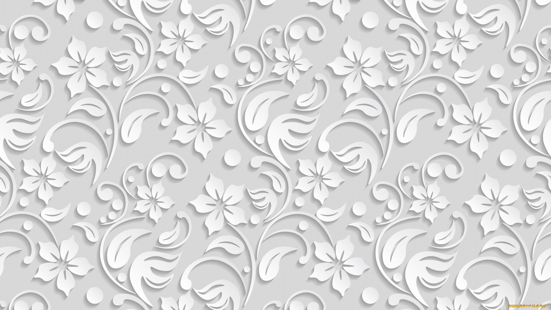 векторная, графика, цветы, , flowers, текстура, background, flower, white, pattern, цветы