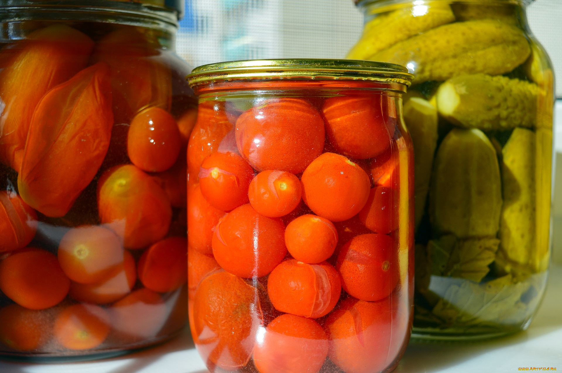 еда, консервация, помидоры, томаты, соленья, огурцы