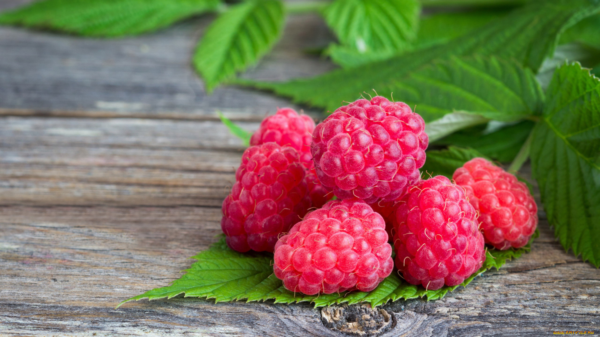 еда, малина, ягоды, листья