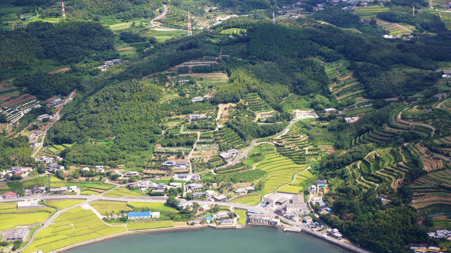 нагасаки, города, -, панорамы, фермы, поля, пригород, рощи