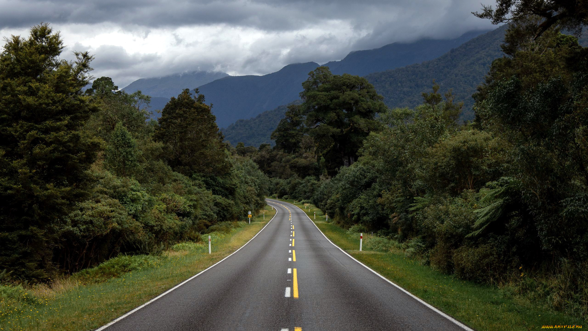 природа, дороги, шоссе