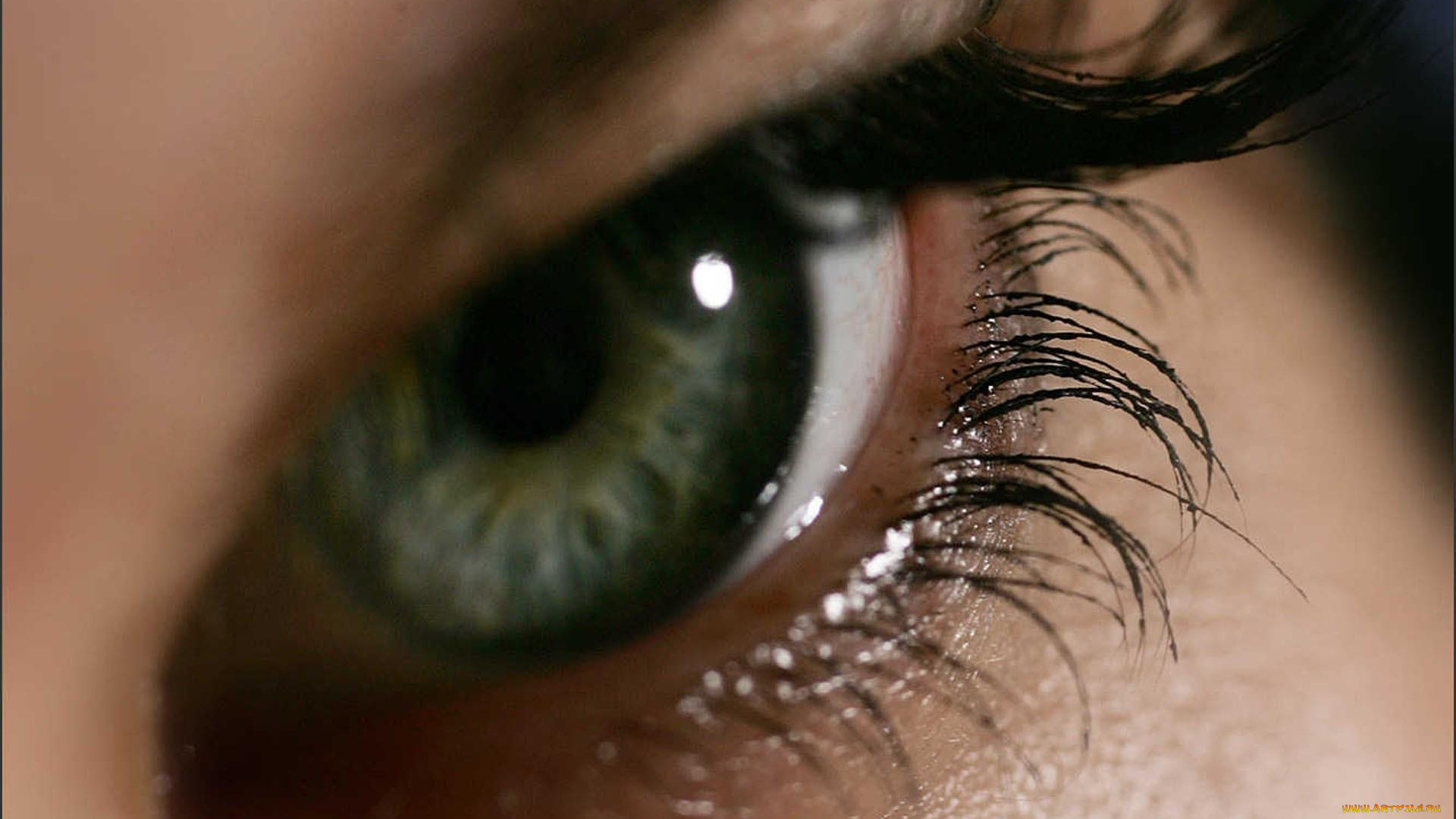 разное, глаза, глаз, женский, ресницы