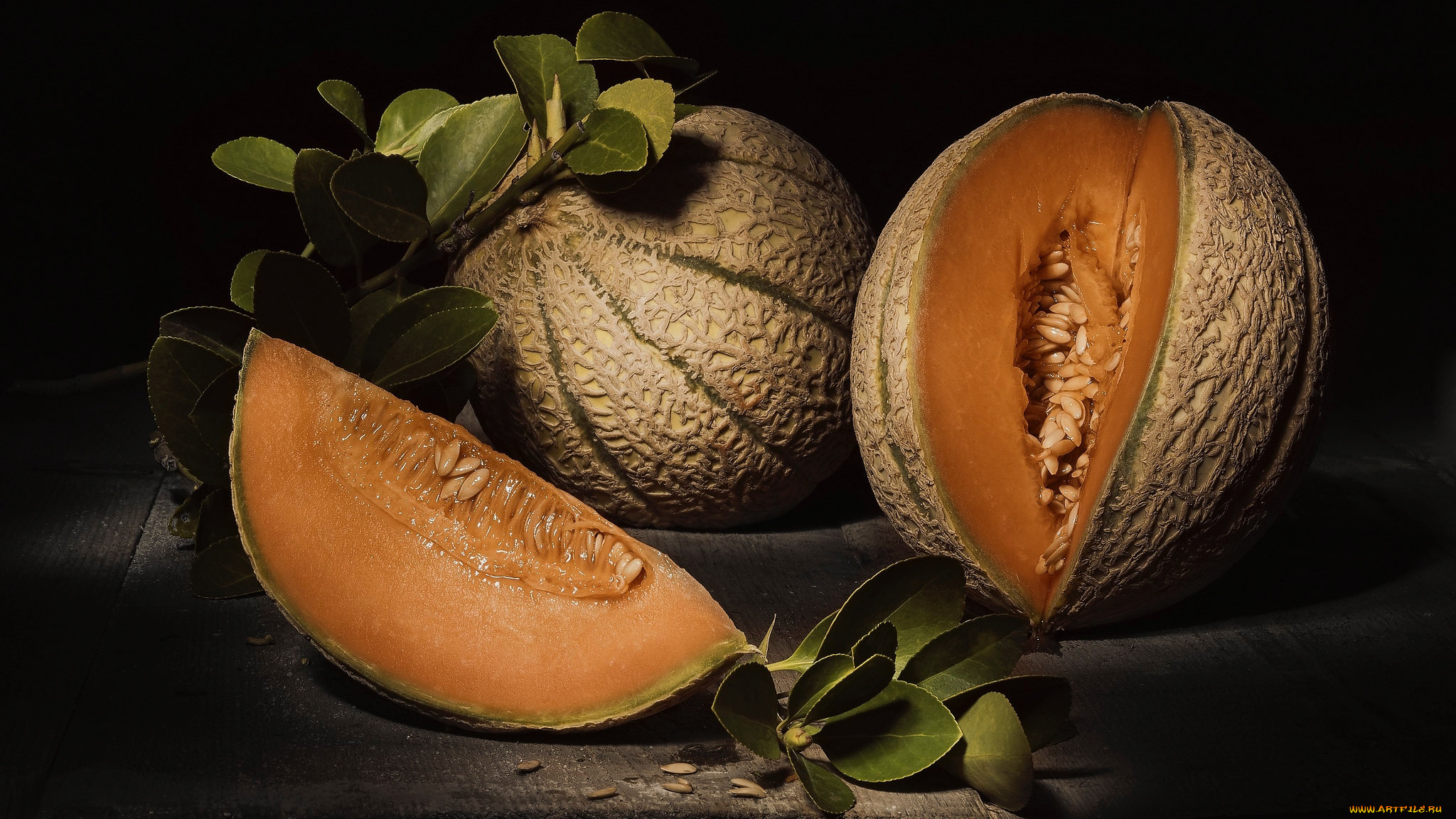 еда, дыня, листья