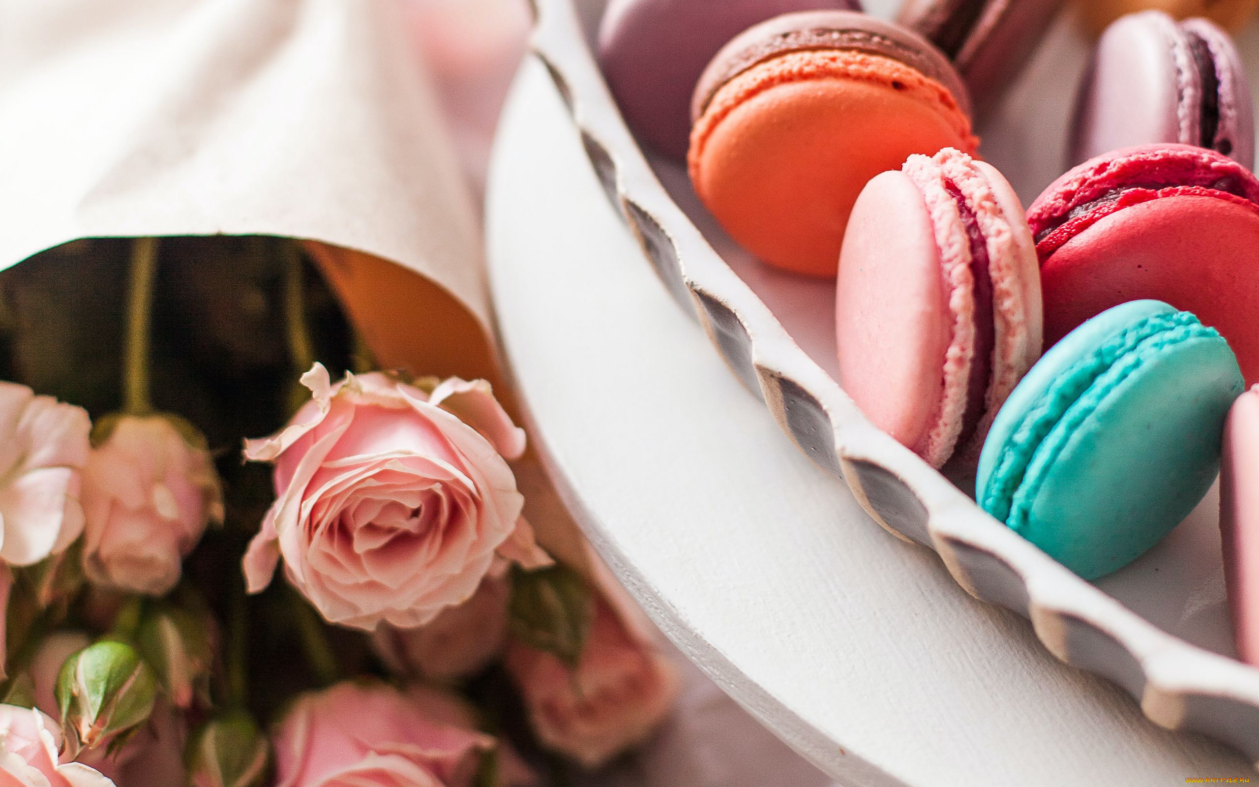 еда, макаруны, лакомство, печенье