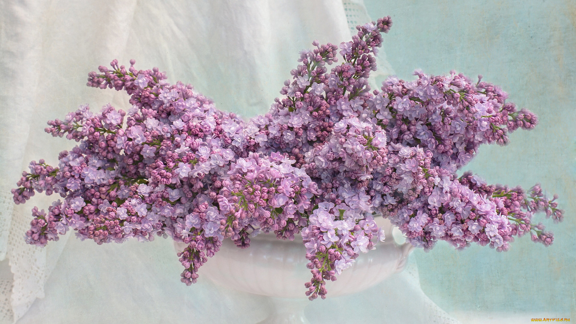 цветы, сирень, махровая, букет