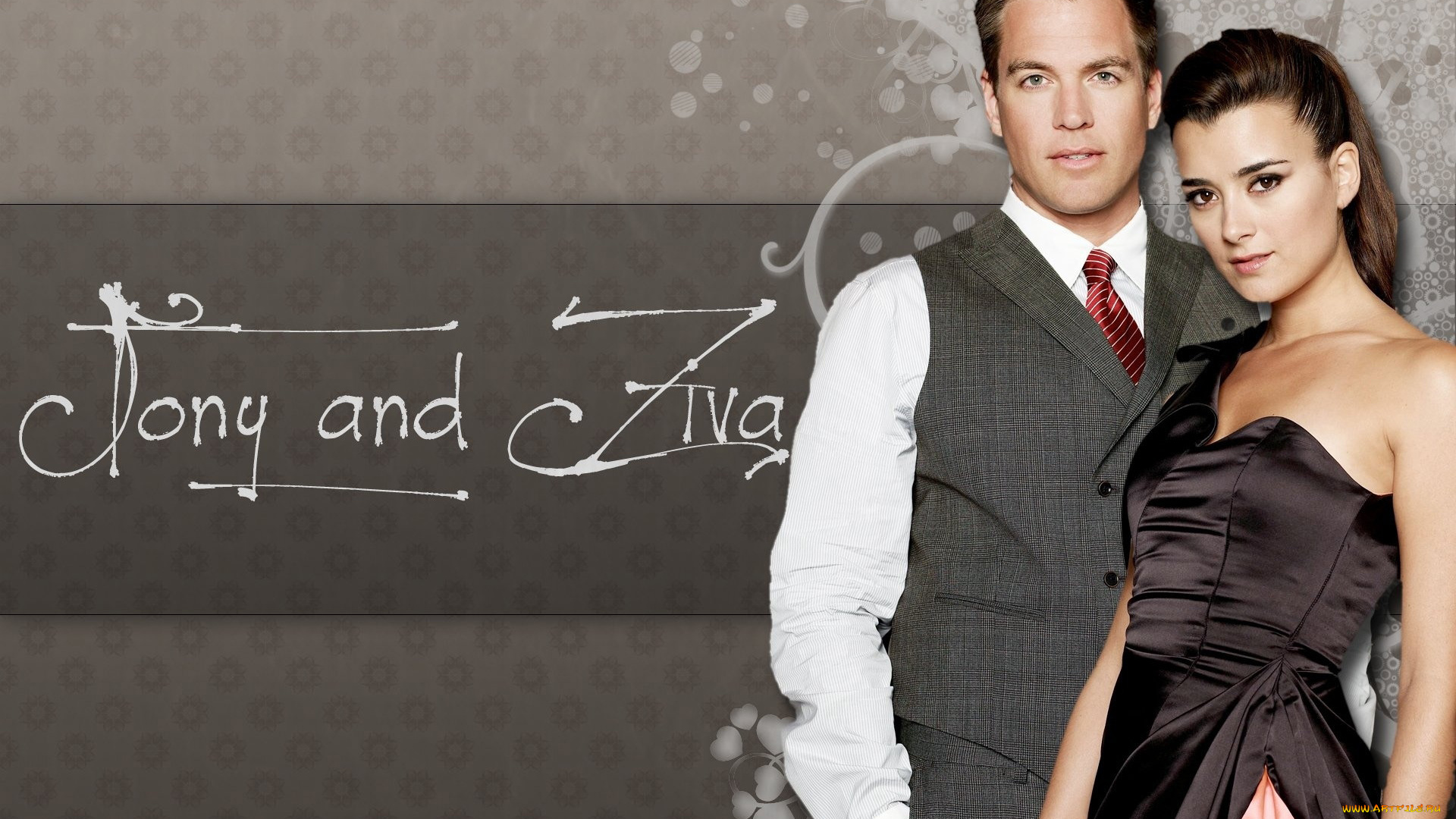 кино, фильмы, ncis, cote, de, pablo, michael, weatherly