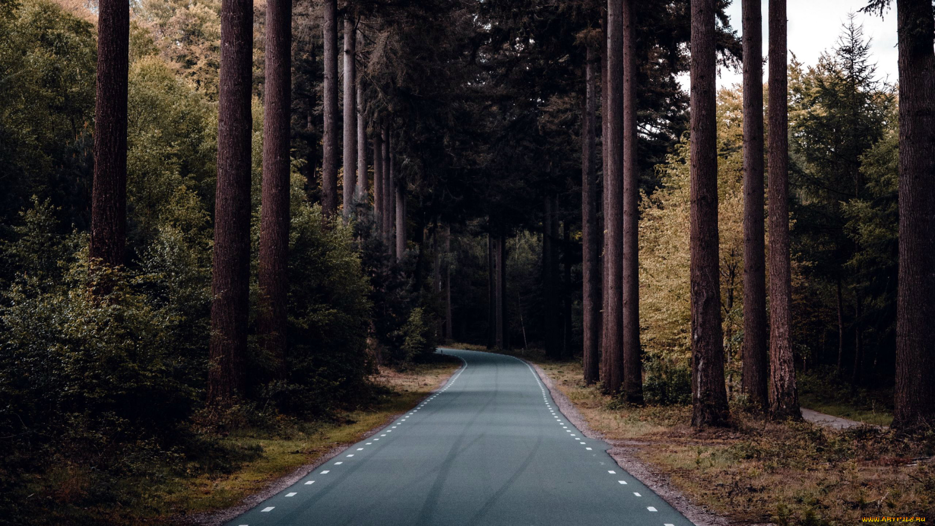 природа, дороги, шоссе