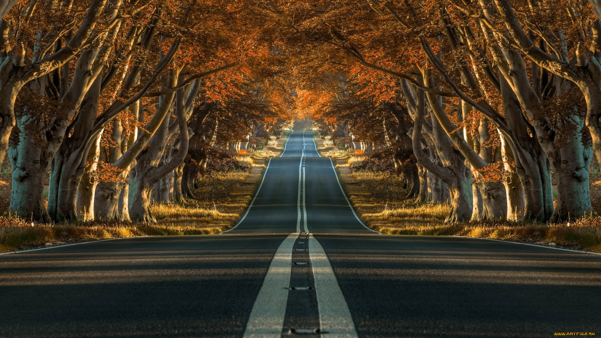 природа, дороги, шоссе