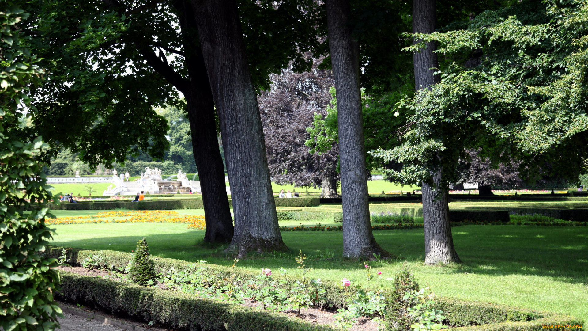 природа, парк, деревья