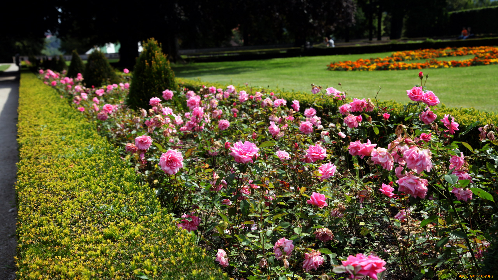 природа, парк, клумбы